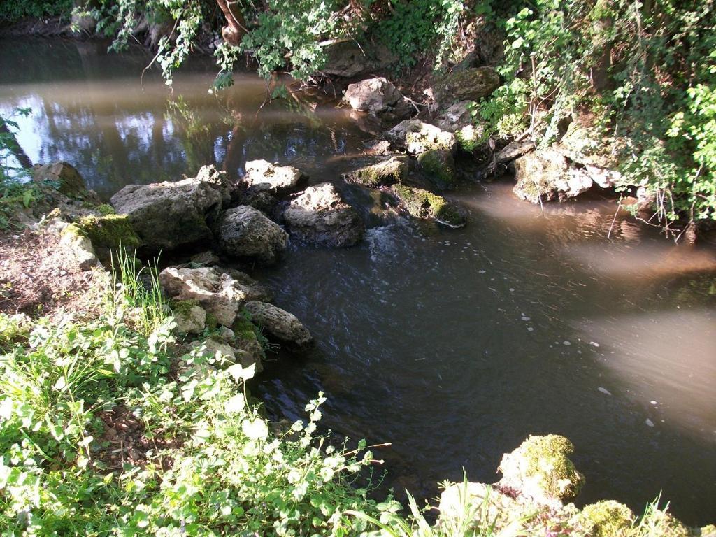 Chambre D'Hote Moulin Du Ru Aulnoy Eksteriør billede